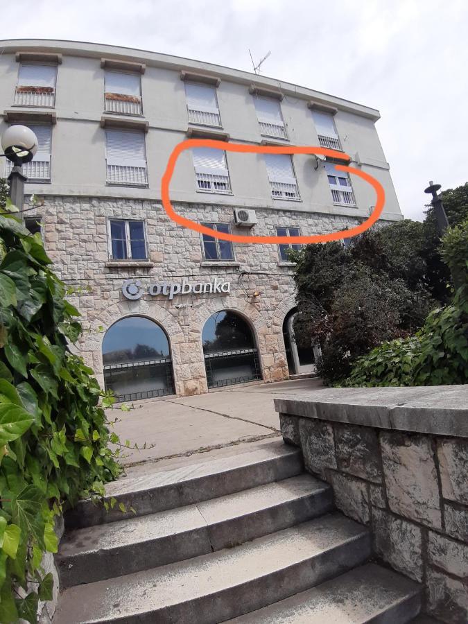Apartment Petrovic Center *